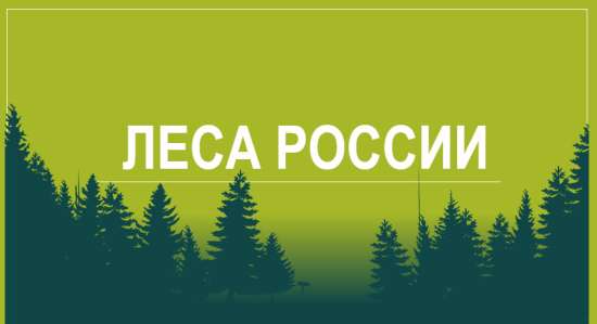 Презентация "Леса России" 4 класс