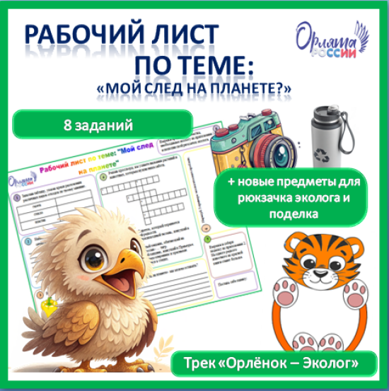 Рабочий лист по теме «Мой след на планете»