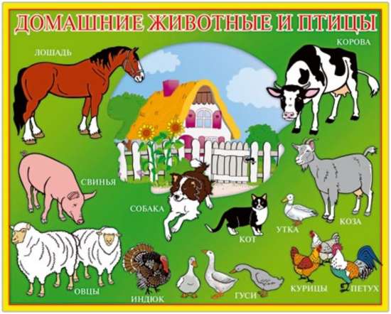 Презентация "Домашние животные и птицы"