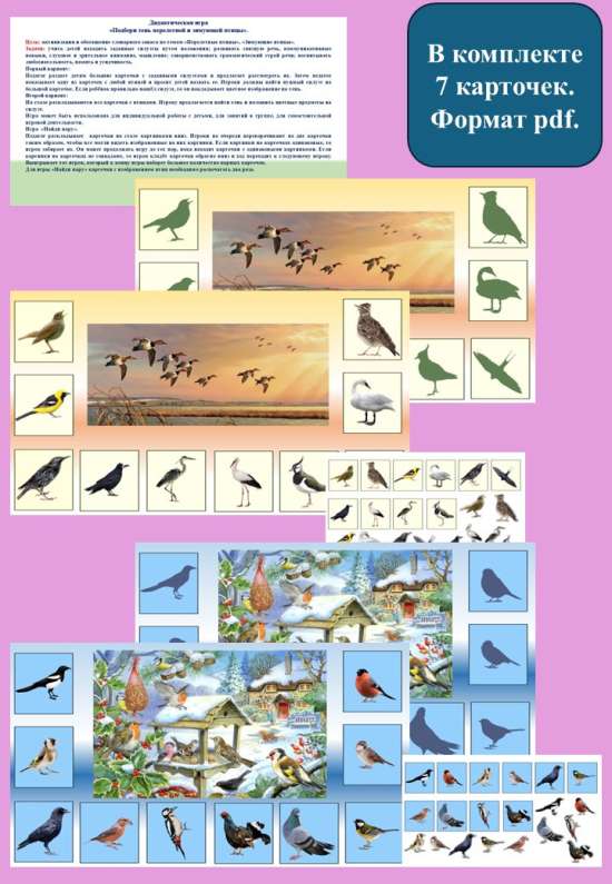 Дидактическая игра «Подбери тень перелетной и зимующей птицы».