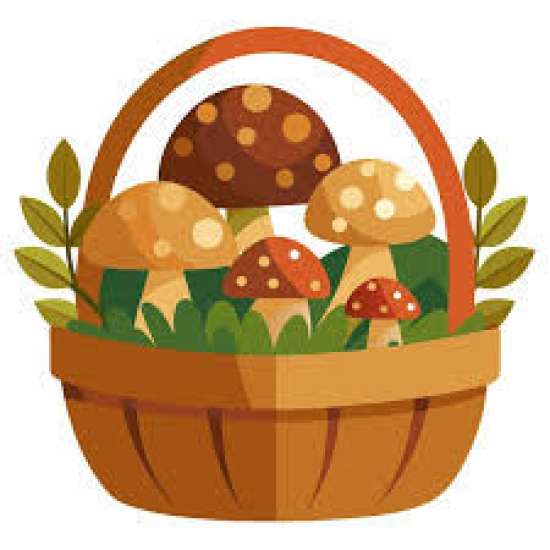 Рабочий лист по биологии для 7 класса.  Тема: «Грибы. Общая характеристика»