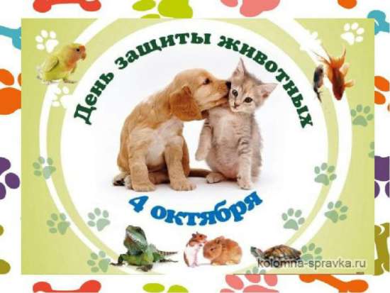 🐾 Квест ко Дню защиты животных для начальных классов