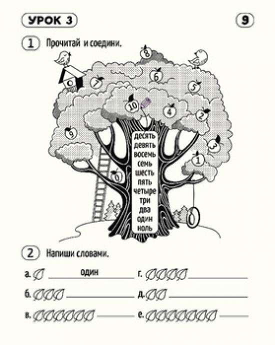 Сорока. Рабочая тетрадь