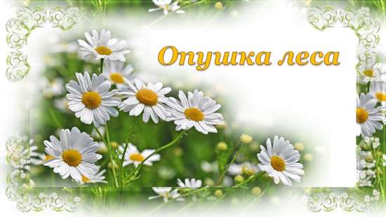 Презентация к виртуальной экскурсии по теме: "Опушка леса"