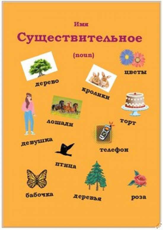 Русский язык как иностранный. Имя существительное/ Russian as a foreign language