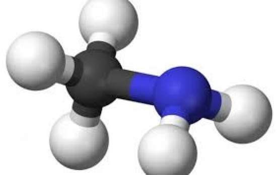Рабочий лист по химии для 10 класса.  Тема: «Амины»