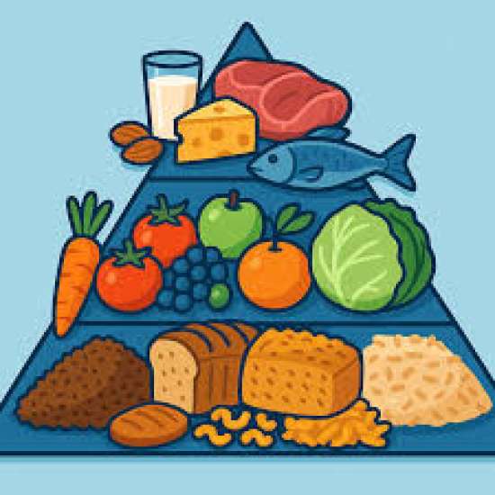 Рабочий лист по биологии, 9 класс Тема: Гигиена питания.