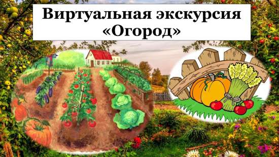 Сценарий и презентация к виртуальной экскурсии по теме: "Огород"