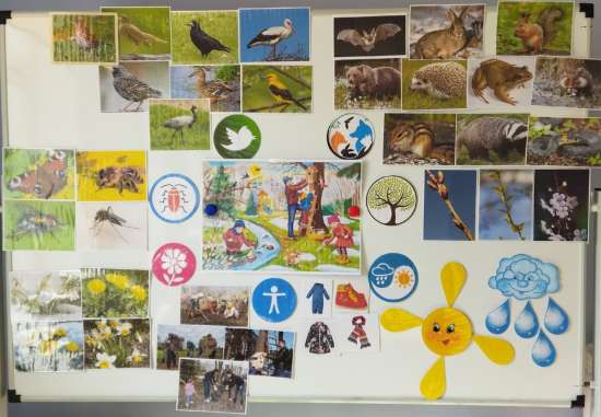 Конспект занятия  «Весна» с использованием метода «интеллектуальная карта» для детей 5-6 лет