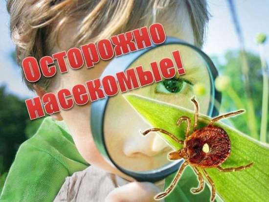Папка- передвижка «Осторожно: опасные насекомые!»