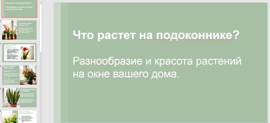 Презентация по окружающему миру для 1 класса по теме: "Что растет на подоконнике?"