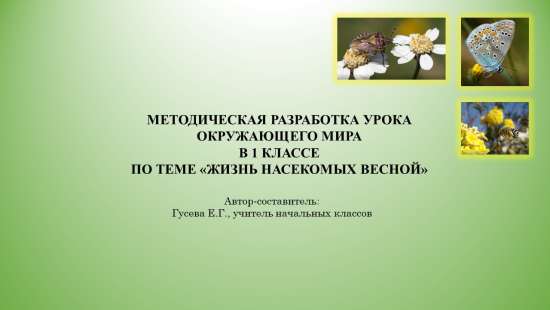 Методическая разработка учебного занятия "Жизнь насекомых весной". 1 класс.