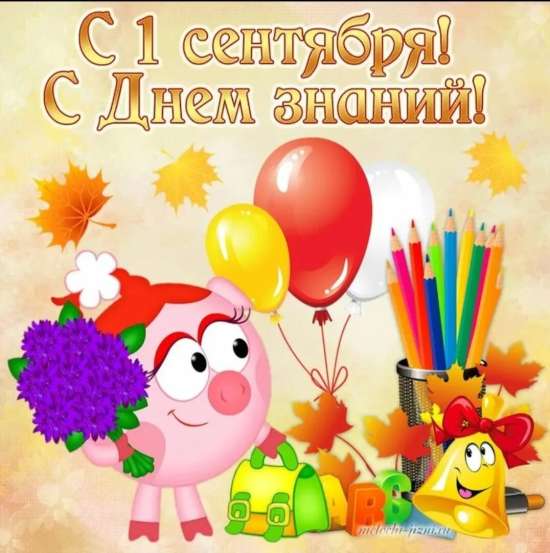 Волшебная страна знаний