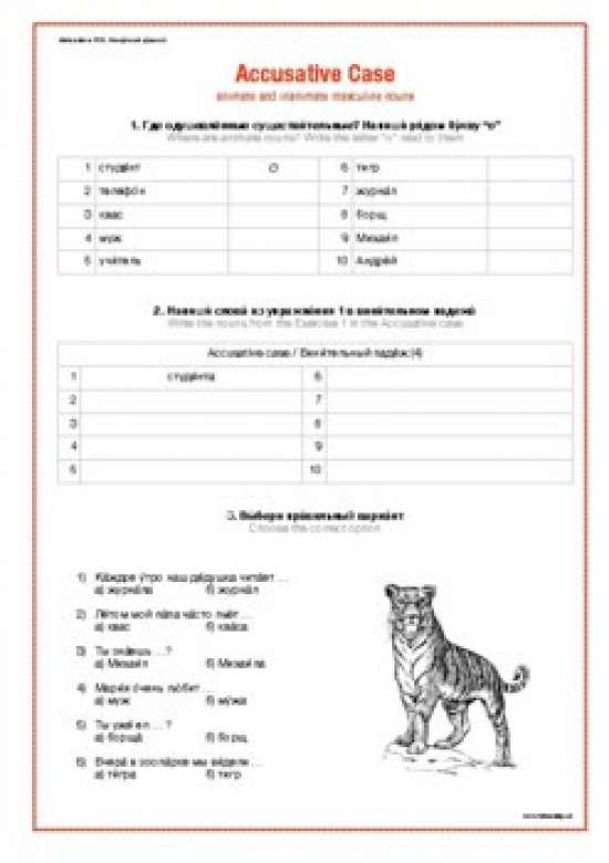 Винительный падеж (4 листа А1) / Accusative case (4 worksheets A1)