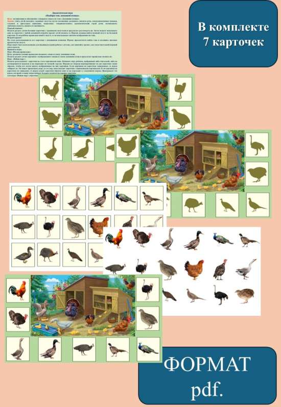 Дидактическая игра  «Подбери тень домашней птицы».