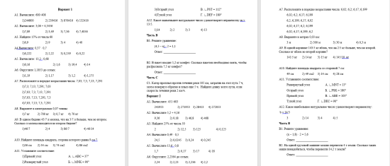 Тесты по математике 5 класс " Два варианта"