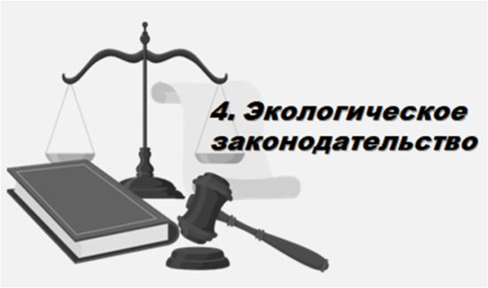 Презентация урока обществознания  в 11 классе (углубленный уровень) по учебнику А. Ю. Лазебниковой,