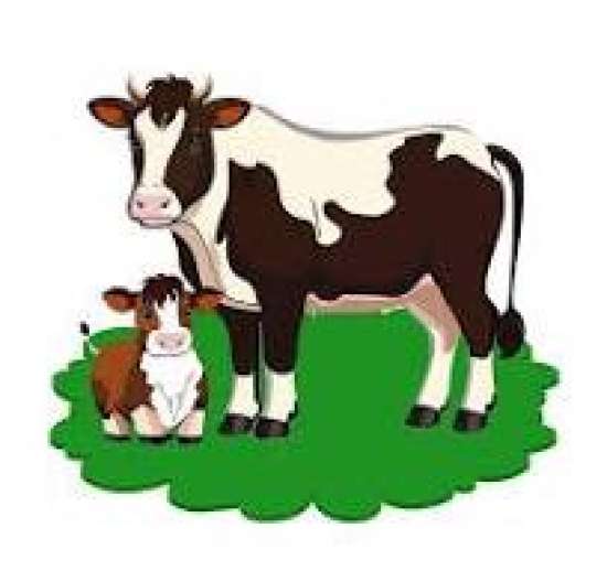 Рабочий лист по биологии для 8 класса.  Тема: Поведение млекопитающих. Размножение и развитие