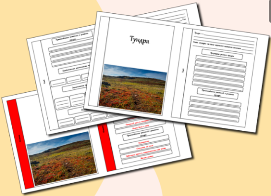 Рабочий лист по окружающему миру для 4 класса по теме: «Тундра».