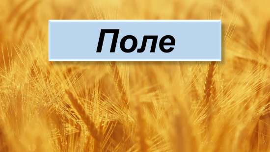 Презентация к виртуальной экскурсии по теме: "Поле"