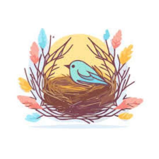 Рабочий лист по биологии, 8 класс.  Тема: Особенности строения и процессов жизнедеятельности птиц