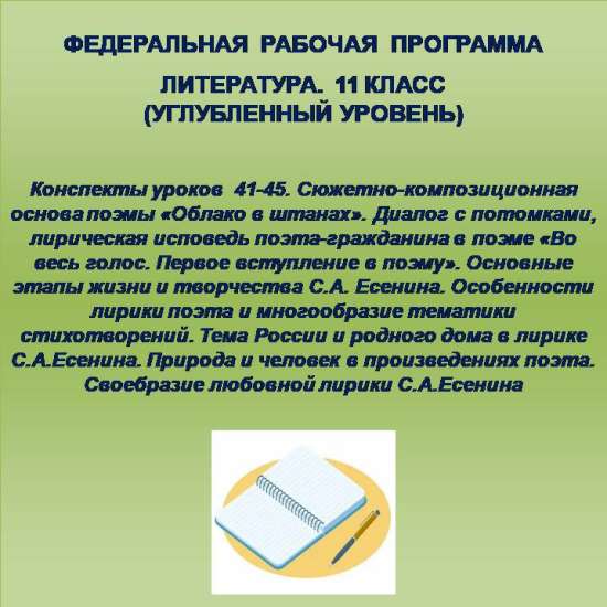 Литература 11 класс (углубленный уровень). Конспекты уроков 41-45