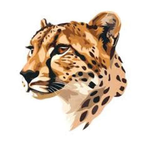 Рабочий лист по биологии, 5 класс.  Тема: Жизнедеятельность организмов