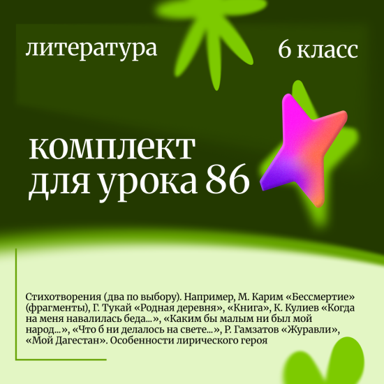 Литература 6 класс. Урок 86 Стихотворения (два по выбору). Например, М. Карим «Бессмертие» (фрагмент
