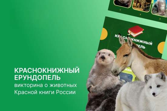 🐯 Викторина о животных Красной книги России «Краснокнижный ерундопель» ко Дню национальных парков и
