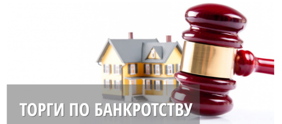 Обучающие курсы на Торгах по Банкротству.